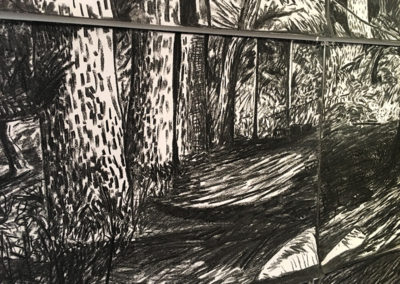 Brian Hoad DETAIL